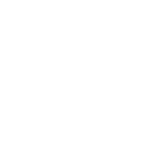 Socks the Shetland Pony